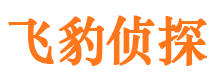 北塘市私家侦探